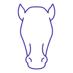 Horse icon