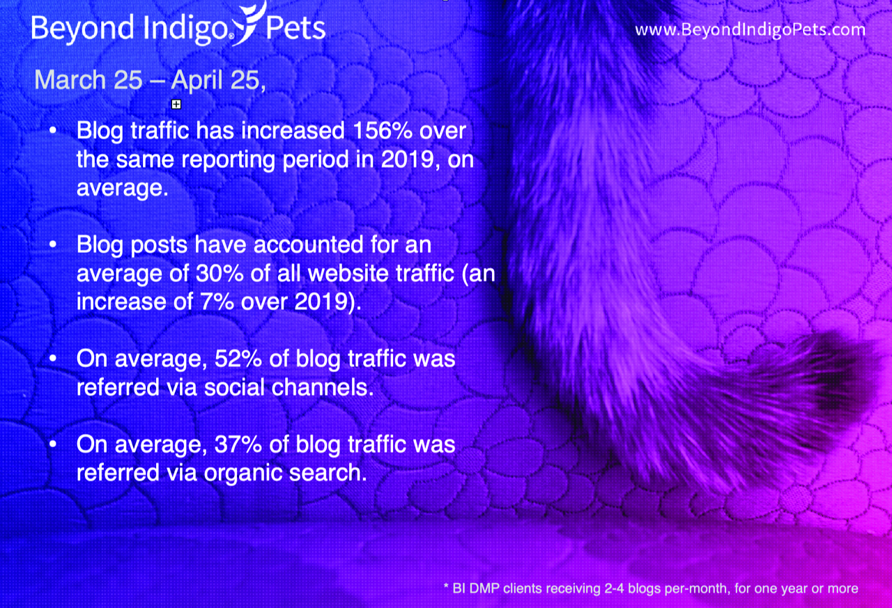 Beyond Indigo blog traffic statistics