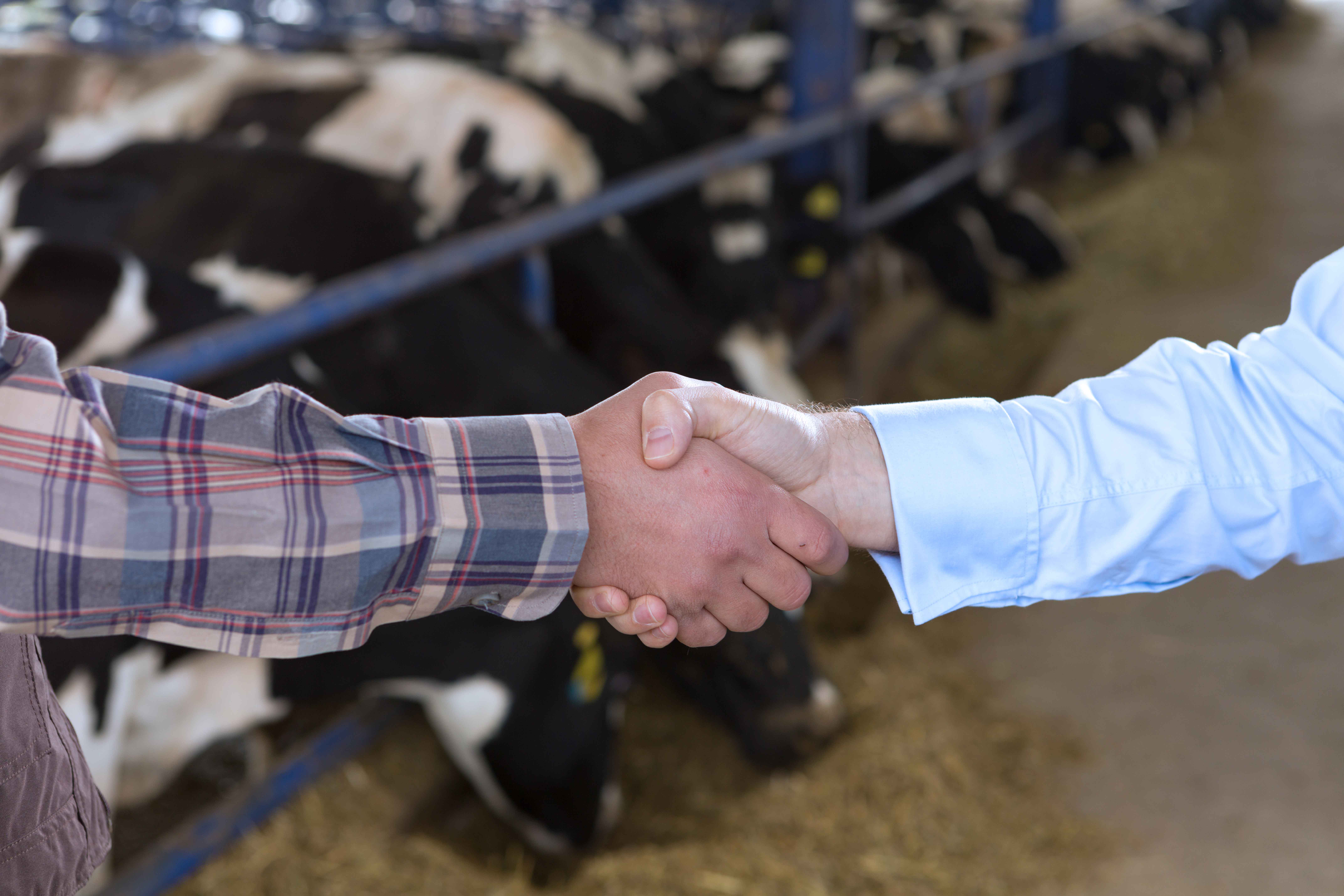 handshake between business partners