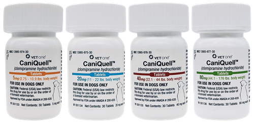 Four bottles of CaniQuell tablets for dogs