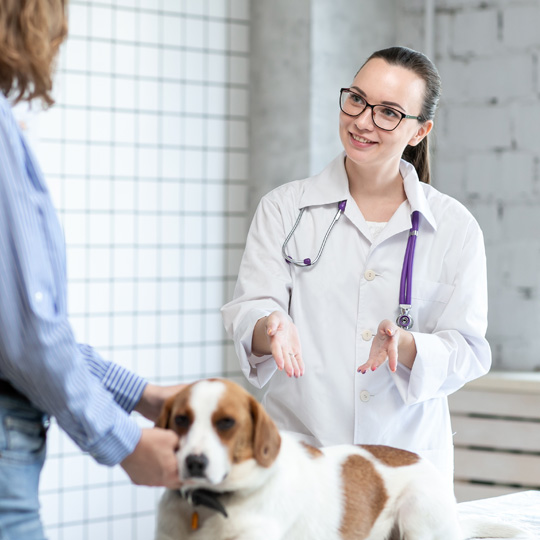 Veterinarian educating her client with her dog