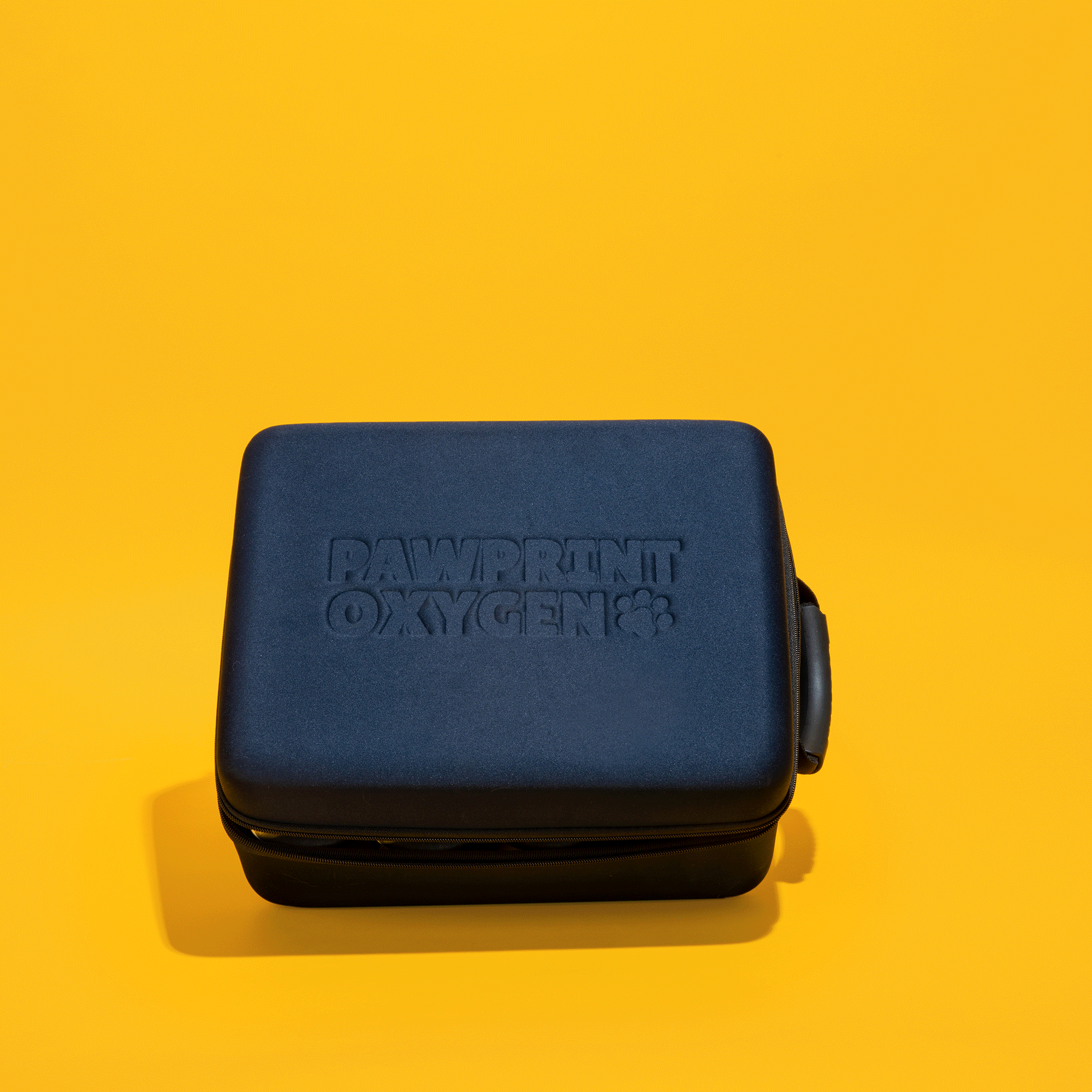 Pawprint Oxygen kit with cannisters and mask