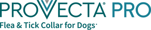 Provecta Pro Logo