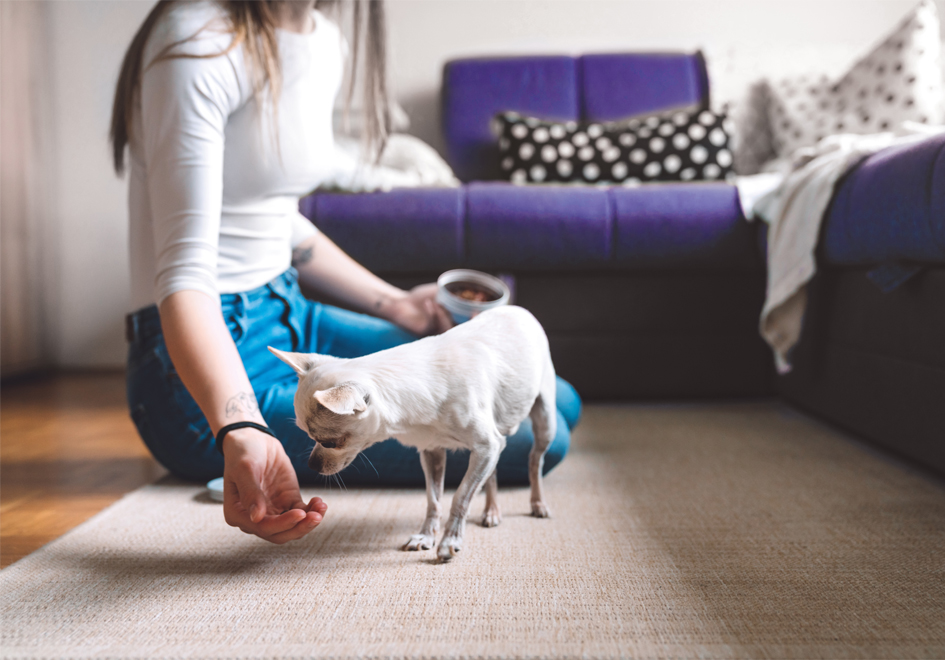 women giving her small dog treats