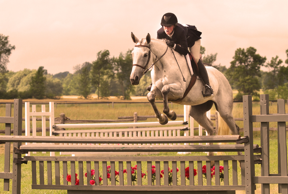 woman jumping horse over obstacle