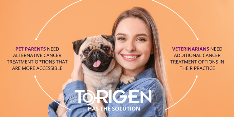 Torigen logo with graphic about cancer treatment