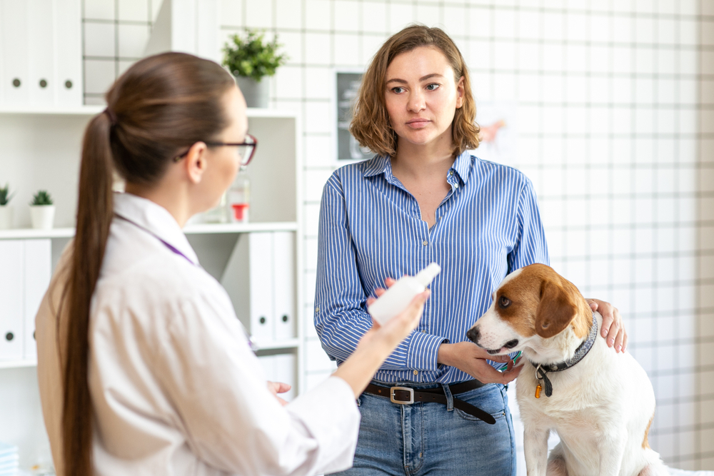Veterinarian giving medical advice to client about her dog