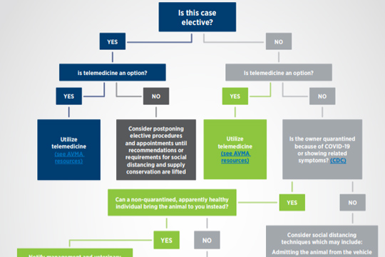 Flow chart from AVMA with information about social distancing and minimizing COVID-19 exposure