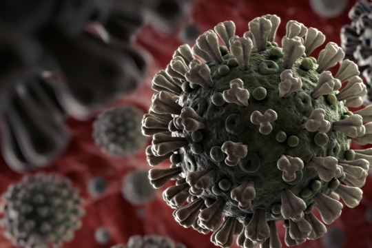 Coronavirus (COVID-19)