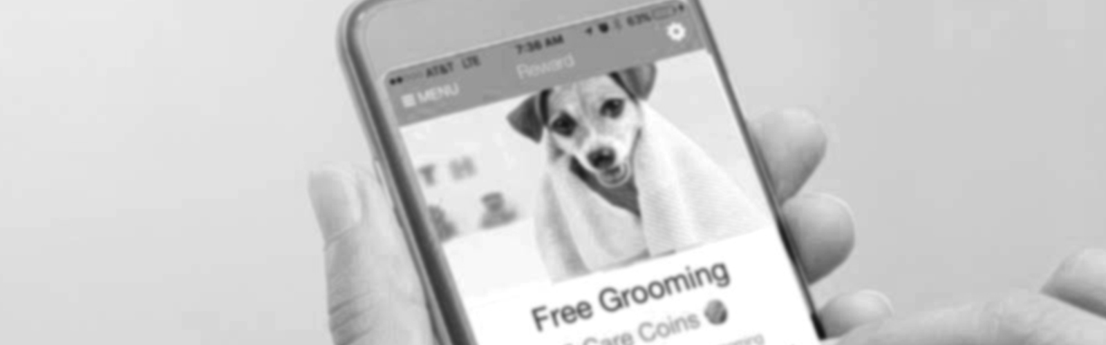 allydvm_client_loyalty_program_banner