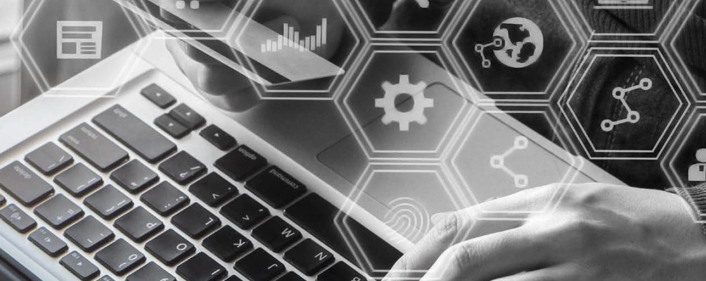 Computer software for veterinarians and their clients