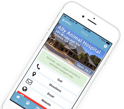 allydvm_mobile_app_one_card