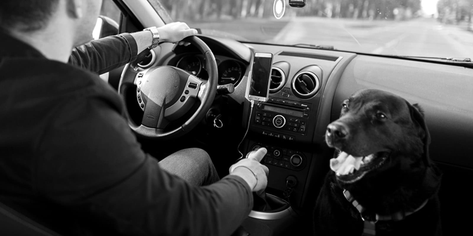 Man in car with dog