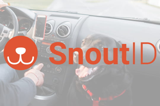 SnoutID logo with man and dog in car