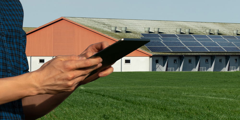 Farmer's hands holding tablet