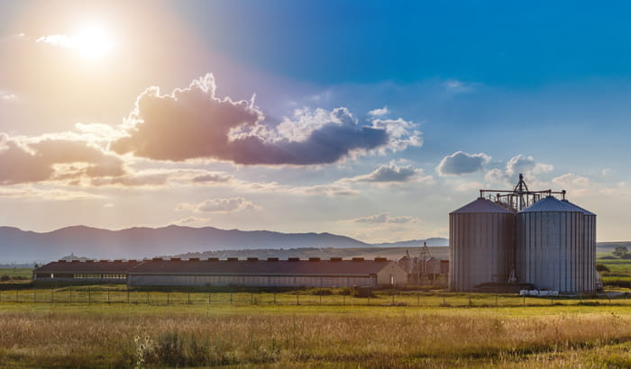 Industrial swine production facility